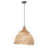 ΦΩΤΙΣΤΙΚΟ ΟΡΟΦΗΣ ΑΠΟ ΙΝΕΣ MENDONG GRASS ΣΕ ΦΥΣΙΚΟ Φ38x34-120Yεκ.HM7776